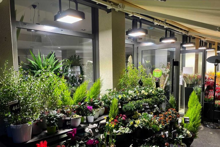 Série HB projecteurs de jardin LED pour l’éclairage de magasin de plantes en France